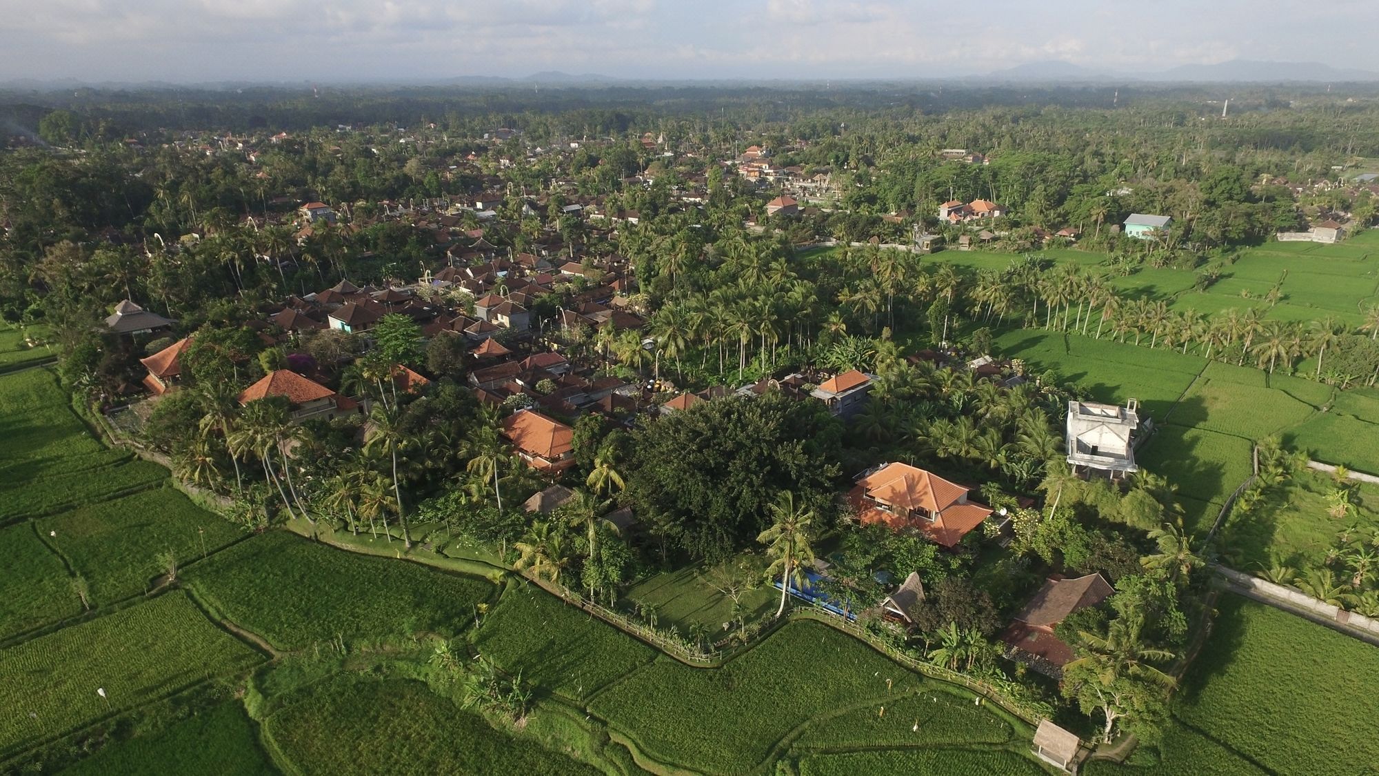 巴厘岛欧玛阿匹克酒店 Omah Apik