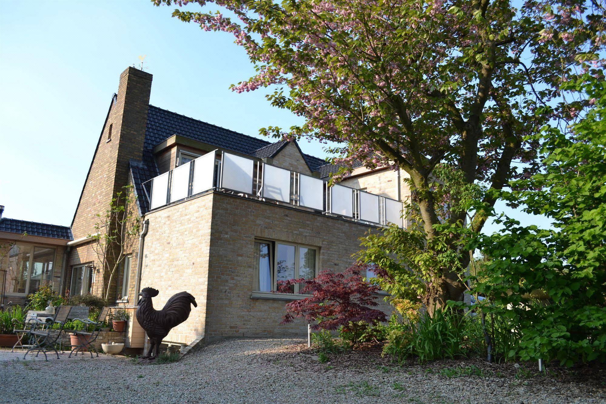 勒库康住宿加早餐酒店 B&B Le Coquin