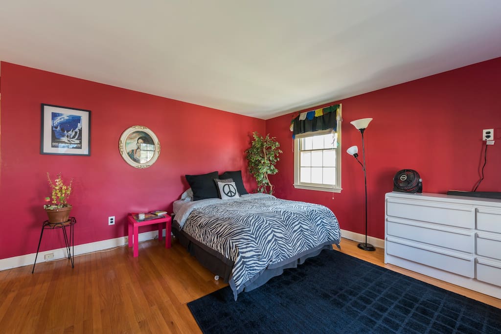 the red room in gorgeous main line