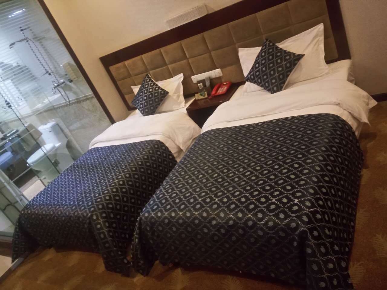 合作阳光宾馆预订,合作阳光宾馆价格_地址_图片_点评,合作市hezuo