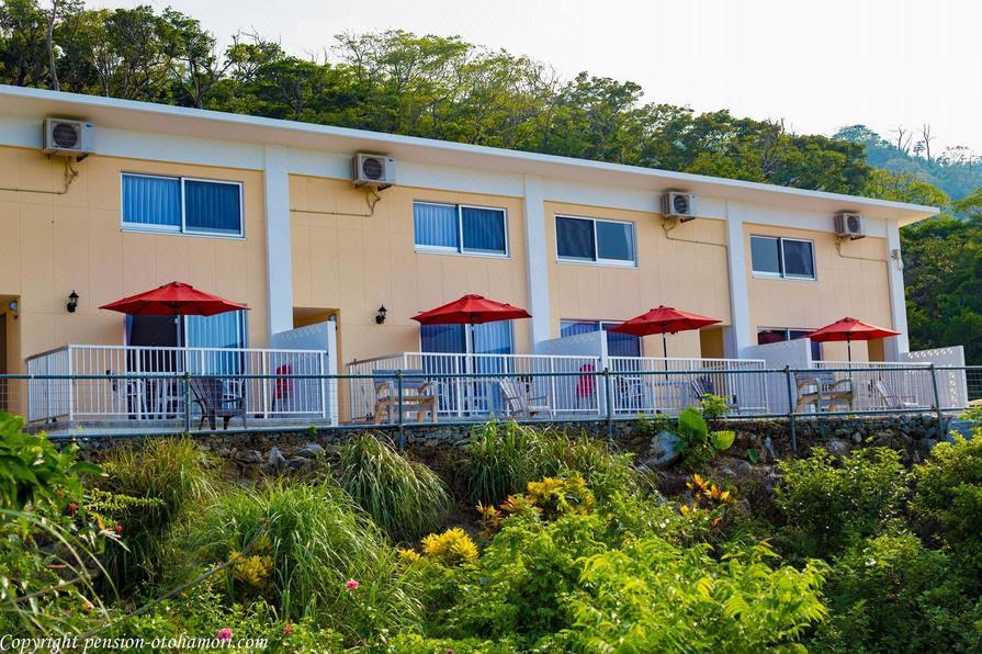 西森林之西 Forest West Nishi