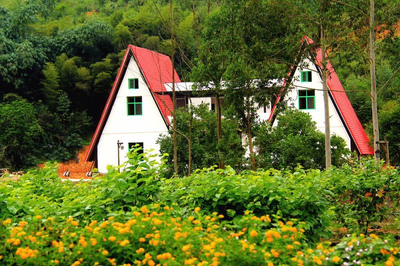 龙海鹭凯生态庄园