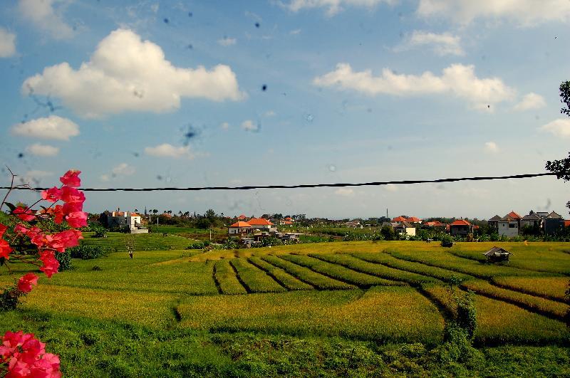 帕迪帕迪仓古豪华客房酒店 Padi Padi Canggu Luxury Room