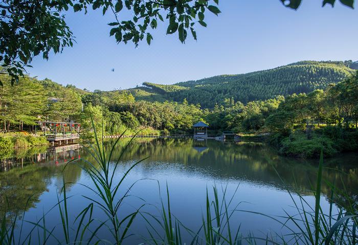 饶平隐山居民宿