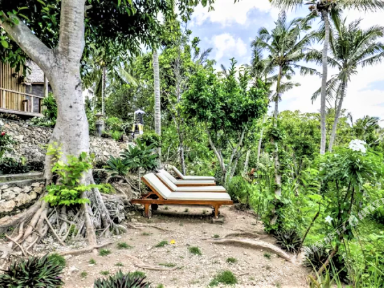 艾杜森林小屋旅馆 Atuh Forest Cottage